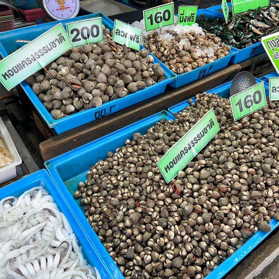 ตลาดประมงพื้นบ้านชลบุรี ซีฟู้ดสดจากเรือ