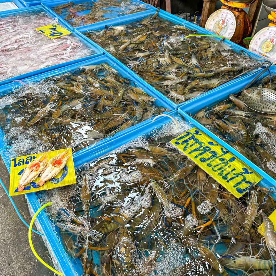 ตลาดประมงพื้นบ้านชลบุรี ซีฟู้ดสดจากเรือ