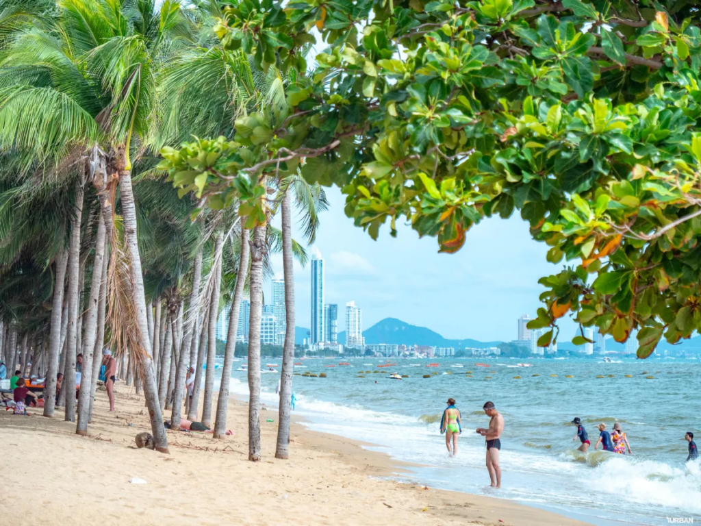 สองแถวพัทยา 10 บาท ชมวิวหาด
